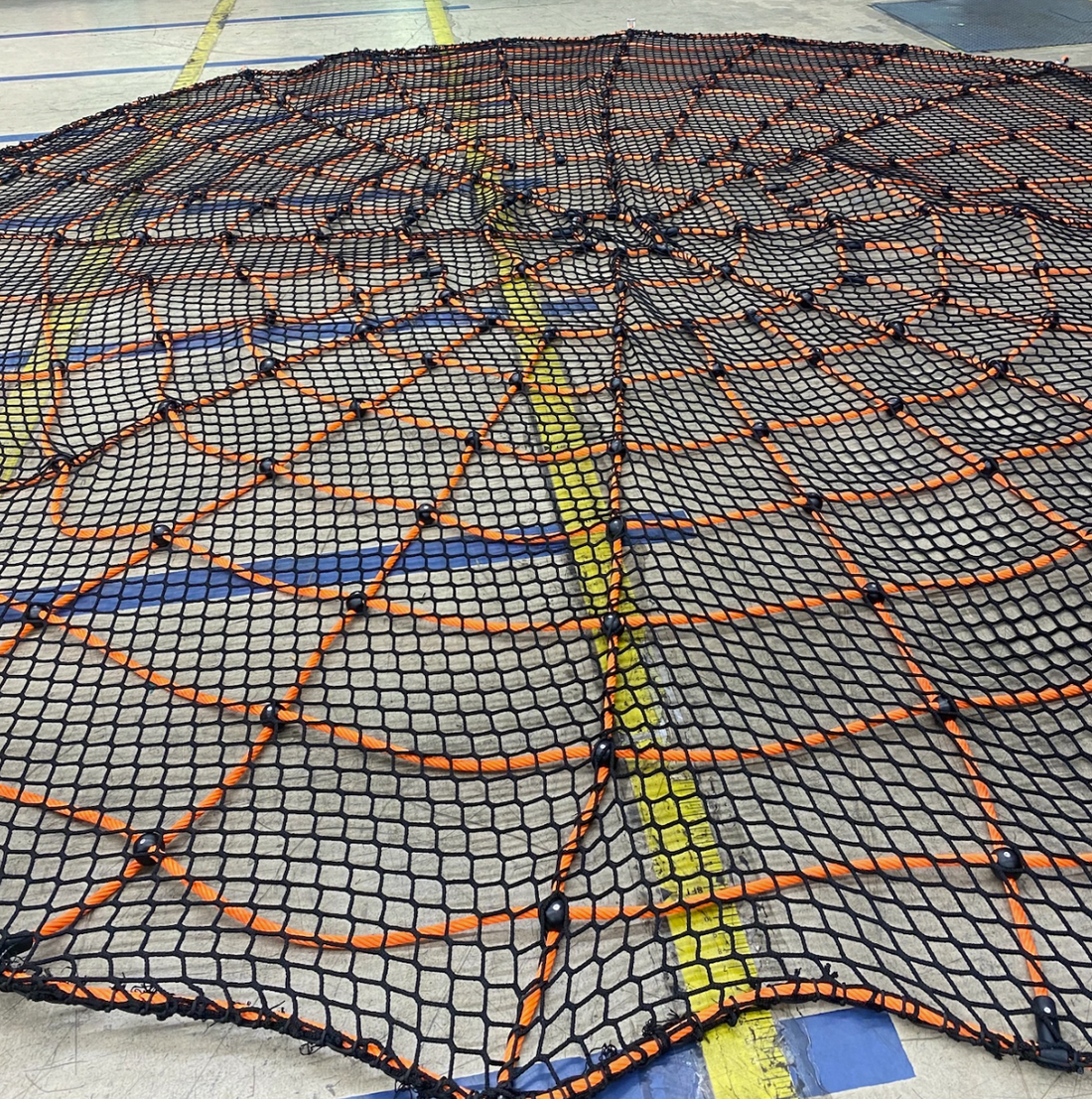 Netform Spider Web