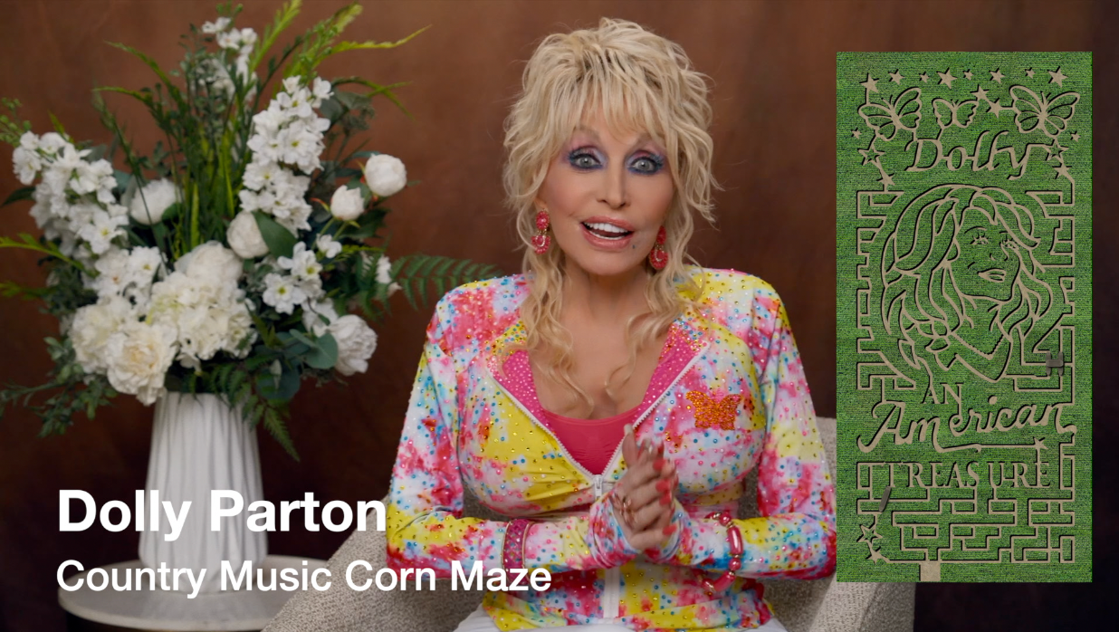 Dolly Video Customization