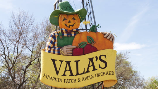 Vala's pumpkin patch & orchard