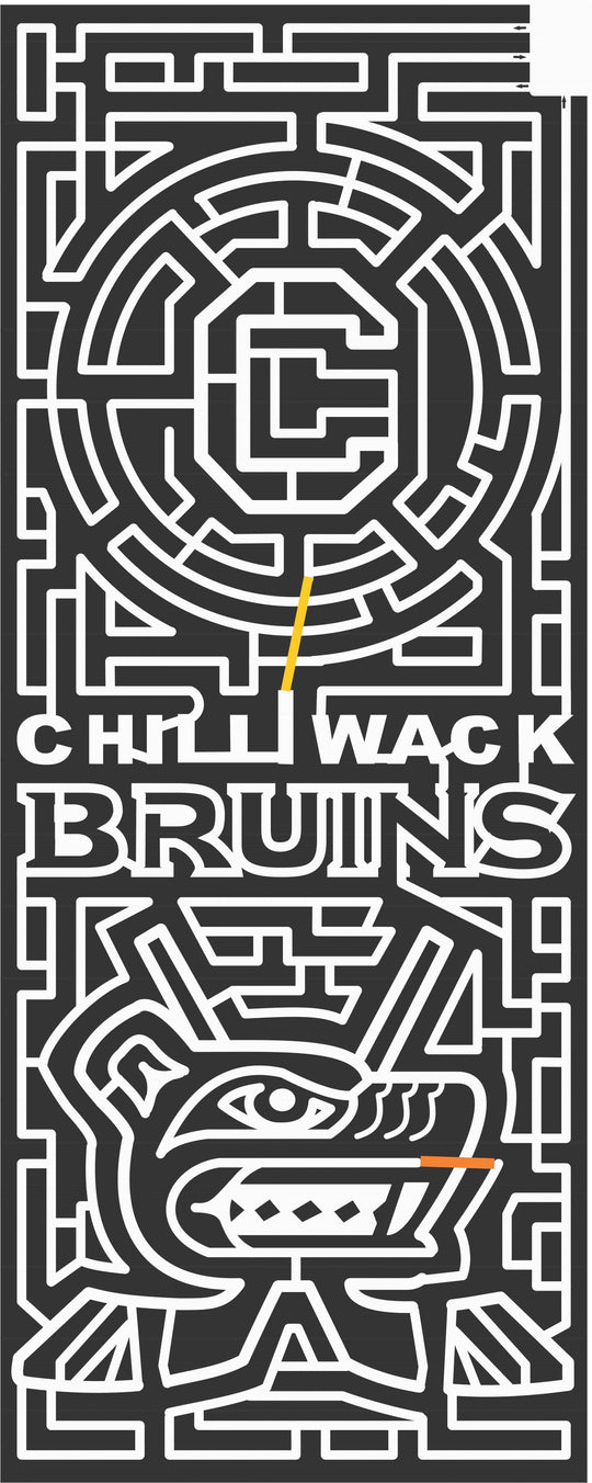 06_BC_Chilliwack British Columbia, logo, Team, bruins