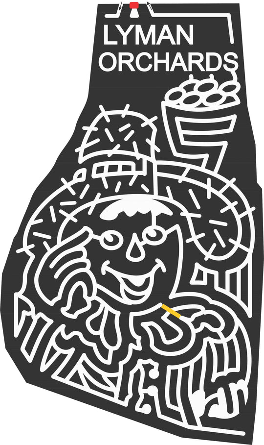 06_CT_Middlefield B Connecticut, Scarecrow, Basket, Apple