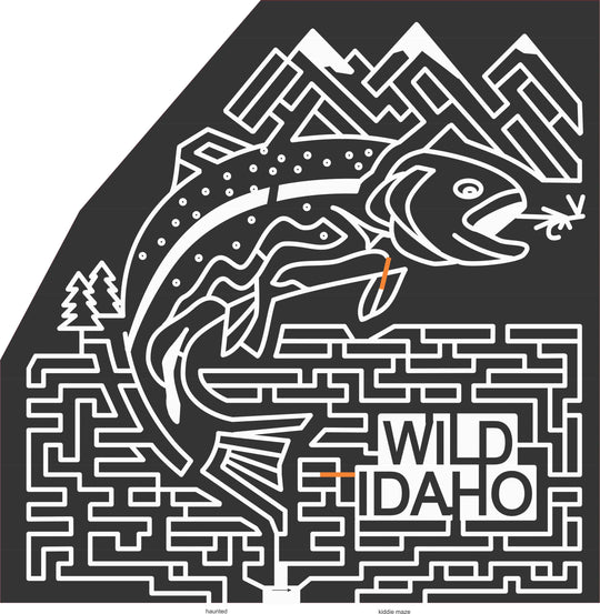 06_ID_Meridian A Idaho, Fish, wildlife, Mountain, pine, Tree