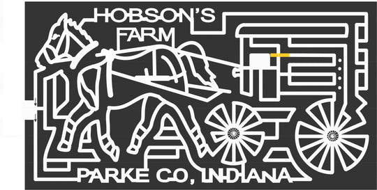 06_IN_Rockville Indiana, Horse, carriage, Wagon, Animal