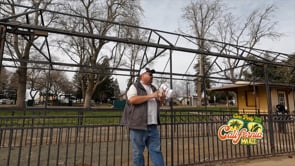 BPF Railroad Train Hamburger Farm Bishops