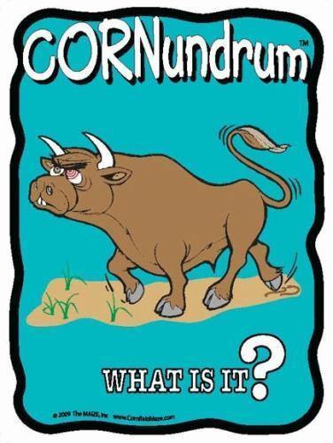 Bulls Eye Cornundrum