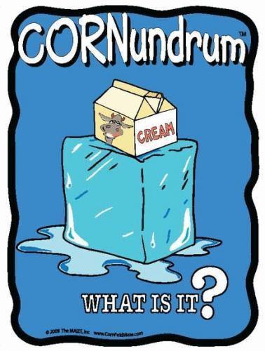 Ice Cream Cornundrum - The MAiZE
