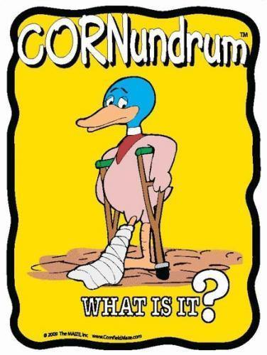 Lame Duck Cornundrum
