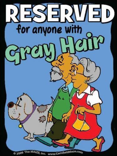 Gray Hair Parking Sign - The MAiZE