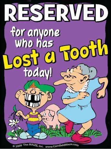 Tooth Fairy Parking Sign - The MAiZE
