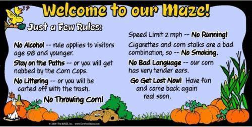 Maze Rules Sign - The MAiZE