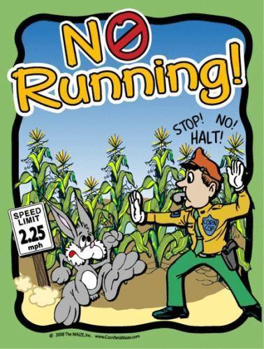 No Running Sign - The MAiZE