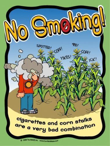 No Smoking Sign - The MAiZE