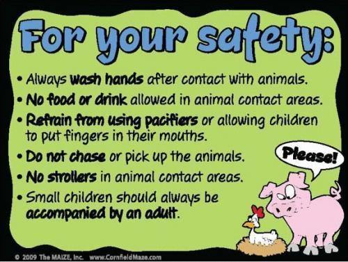 Animal Safety