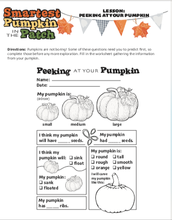 Pumpkin Curriculum Materials - The MAiZE