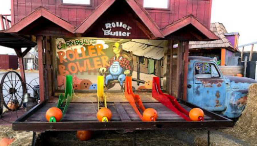 Roller Bowler Lanes