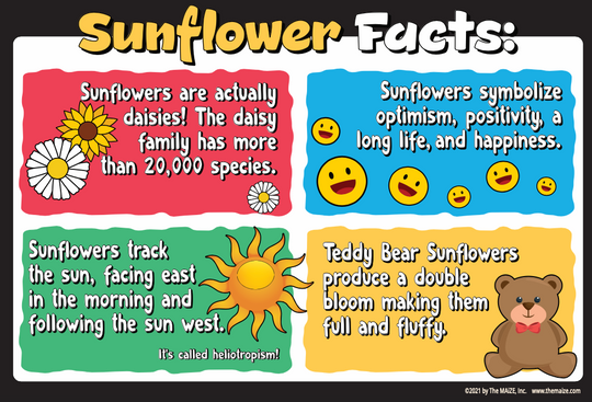 Sunflower Fun Facts #1 Education Sign