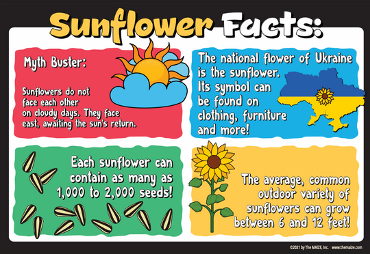 Sunflower Fun Facts #2 Education Sign