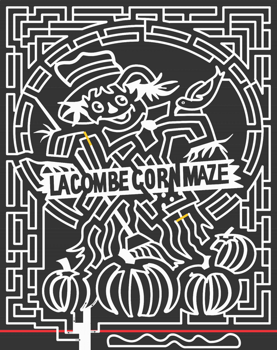 06_AB_Lacombe Alberta, Scarecrow, crow, Pumpkin, Bird