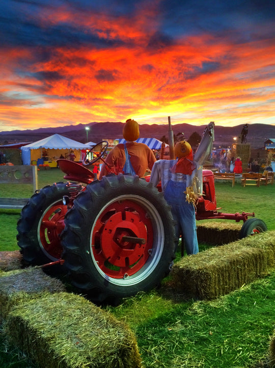 Tractor_Scarecrow_Sunset.JPG