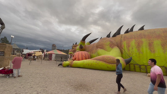Inflatable Creature Lizard Dinosaur