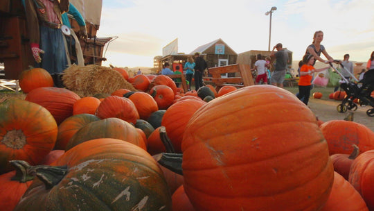 rise over Pumpkins rise and family walking
